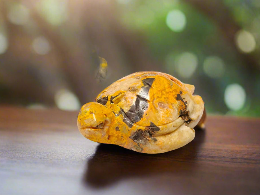 Bumble Bee Jasper