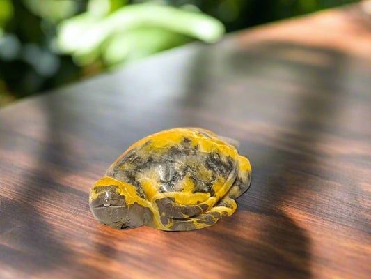 Bumble Bee Jasper Turtle - 2