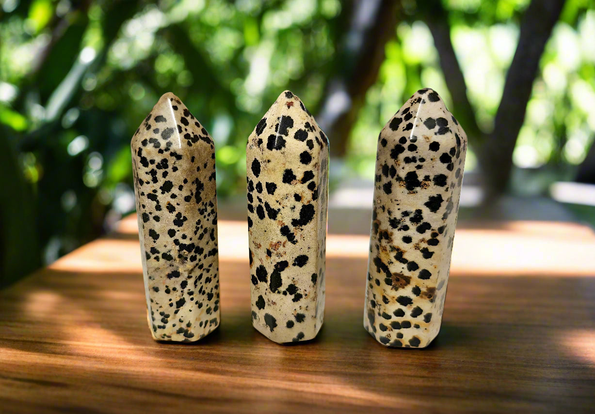 Leopard Skin Jasper