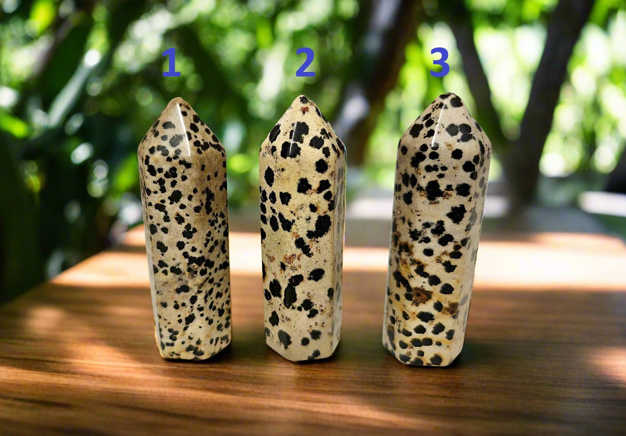 Dalmatian Jasper Tower